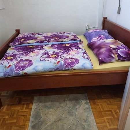 Terme Catez Apartma Nine Catez ob Savi Exterior photo