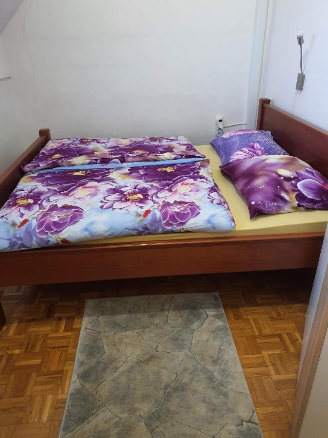 Terme Catez Apartma Nine Catez ob Savi Exterior photo