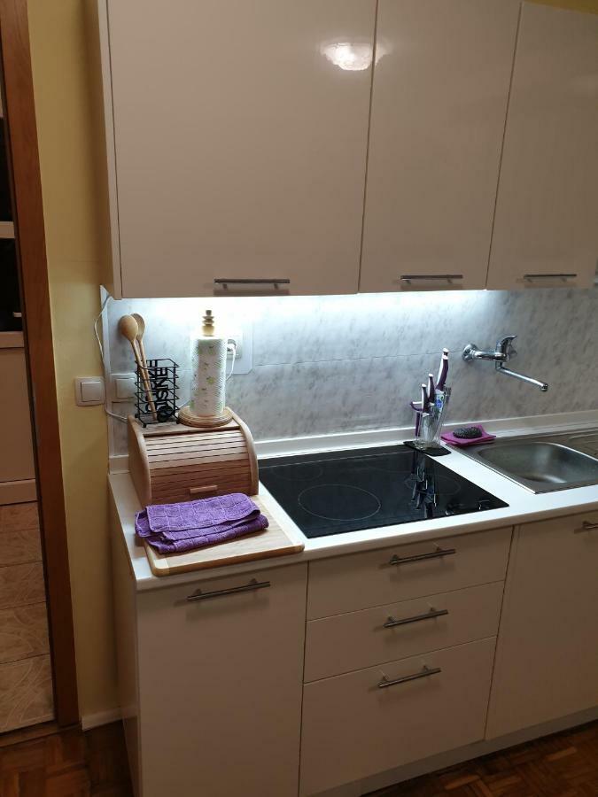 Terme Catez Apartma Nine Catez ob Savi Exterior photo